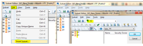 TM1_Hidden_Feature_Existing_Subsets_Insert